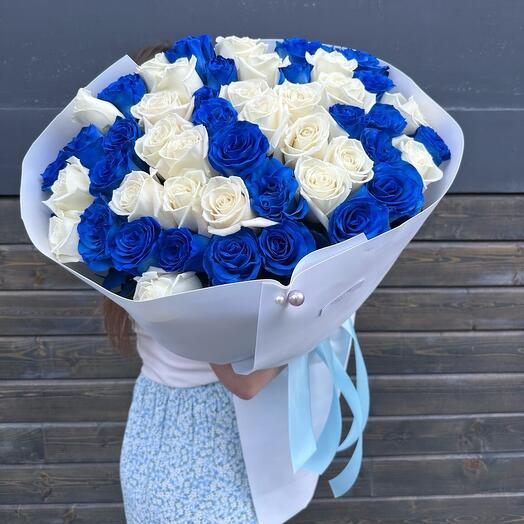 51 синяя и белая роза Голландия