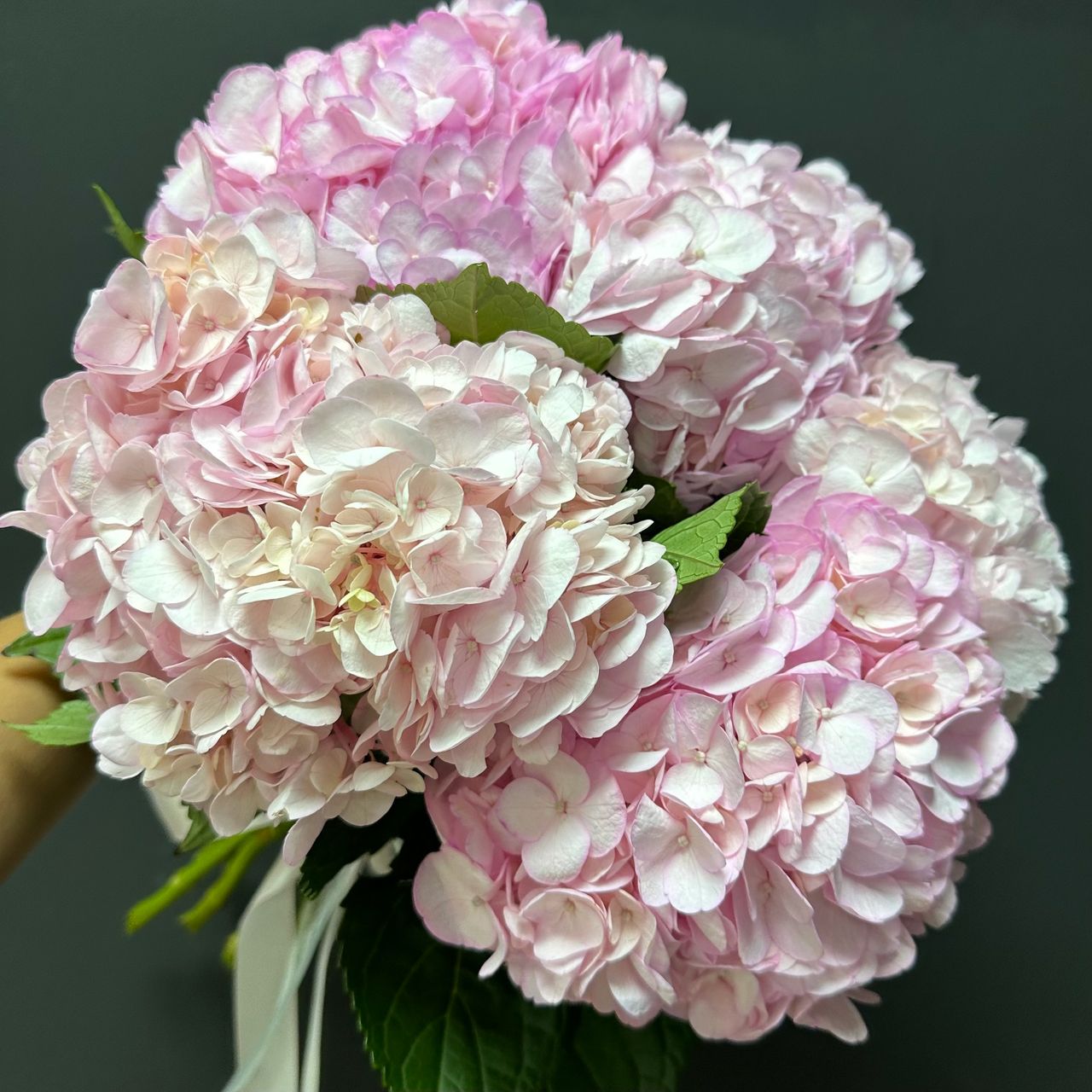 Букет из 5 розовых гортензий