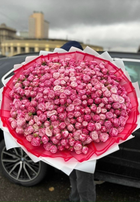 101 Кустовая Роза (пионовидная)