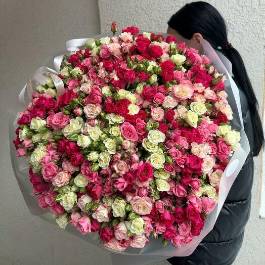 Премиум для твоей милашки 