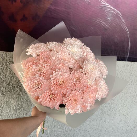 5 пудровых хризантем