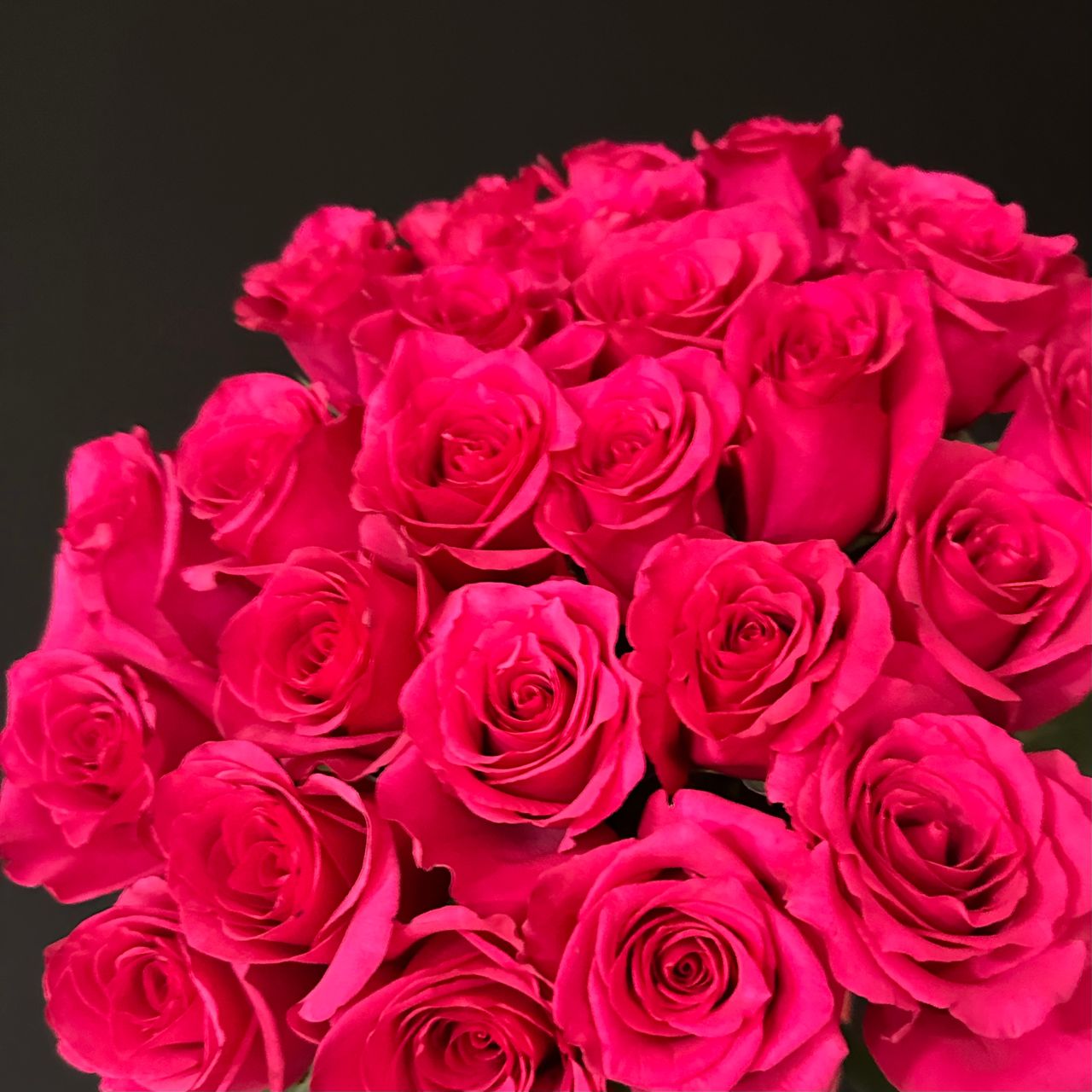 25 роз фуксия 60 см