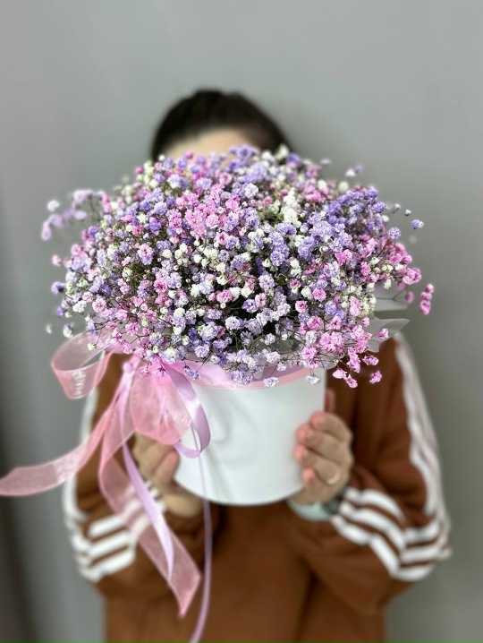 Коробочка с гипсофилой