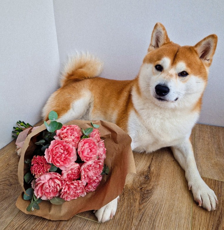 Букет «ДИ» S