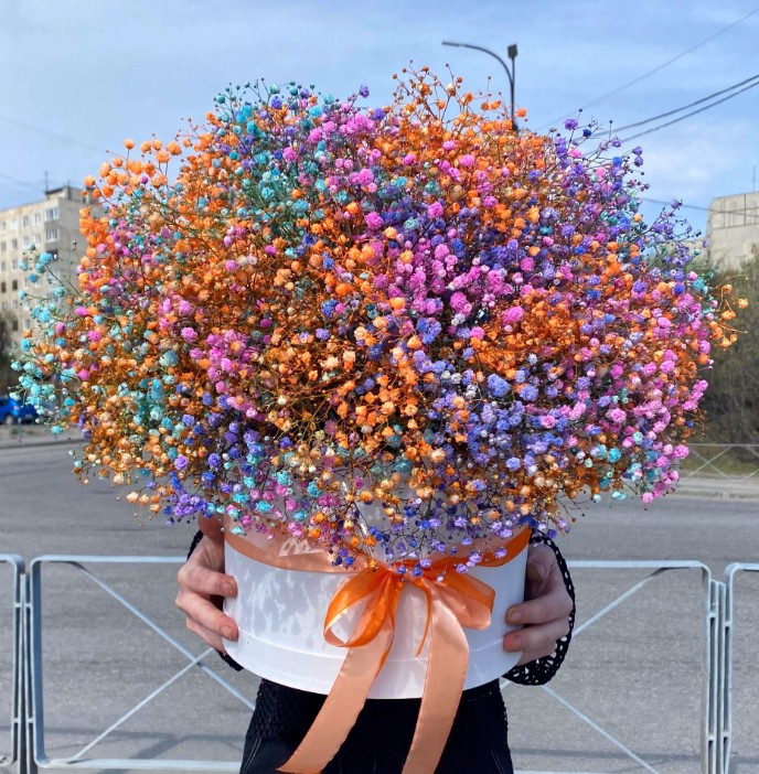 Коробка гипсофилы