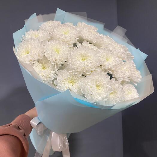 7 кустовых хризантем Алтай