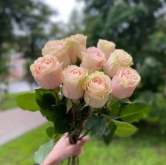 9 роз на ленте