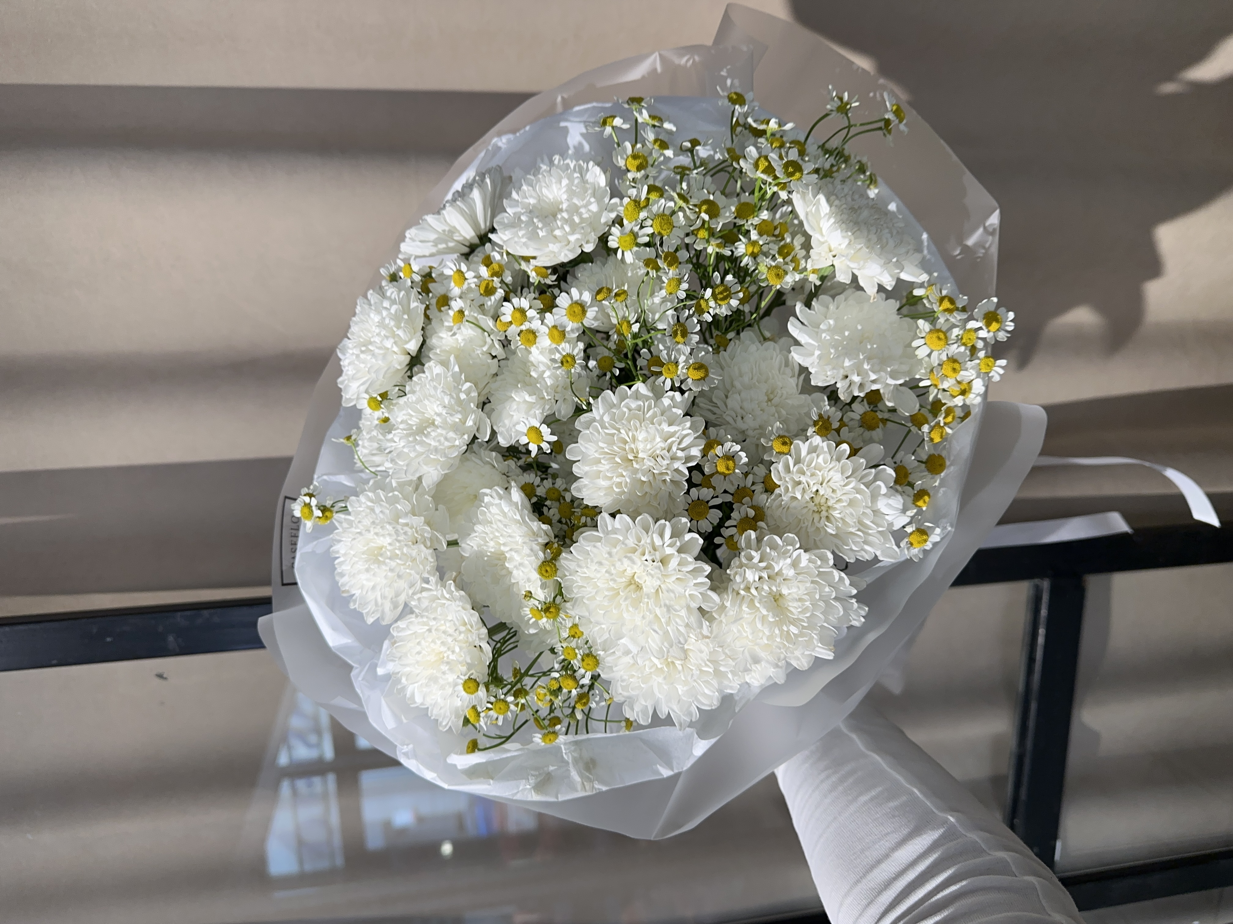 Хризантема с ромашкой 