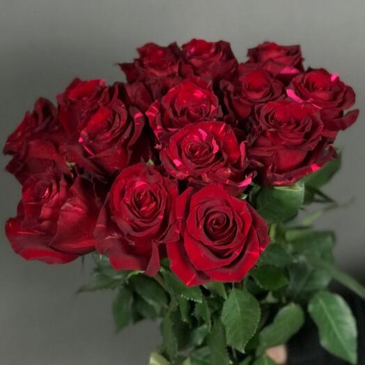 Роза Ред Пенсер 1шт