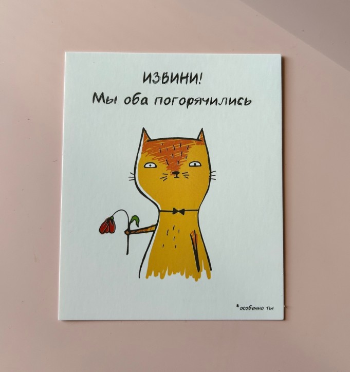 Извини мы оба погорячились