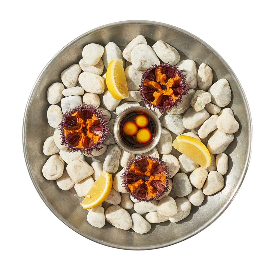 Сет мурманских ежей