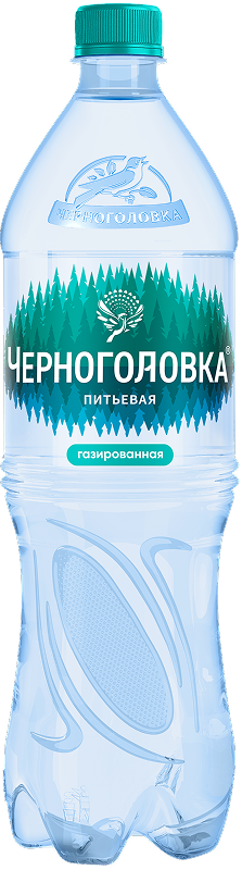 Черноголовка Минеральная вода газ.
