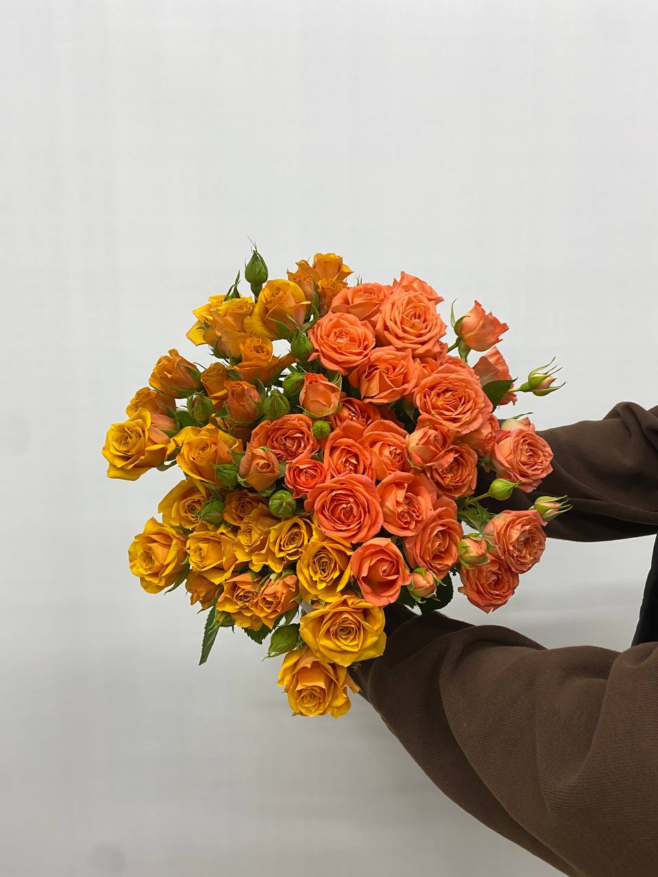 Кустовая роза