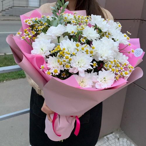 Милые ромашки
