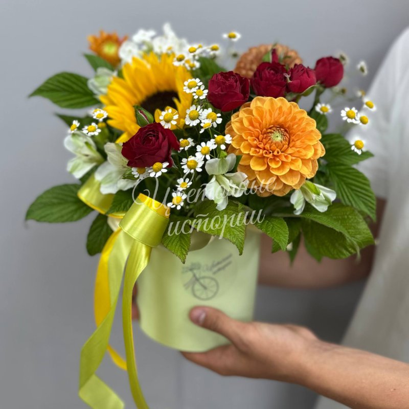 Сияние сентября