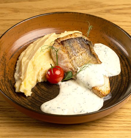 Волжский судак