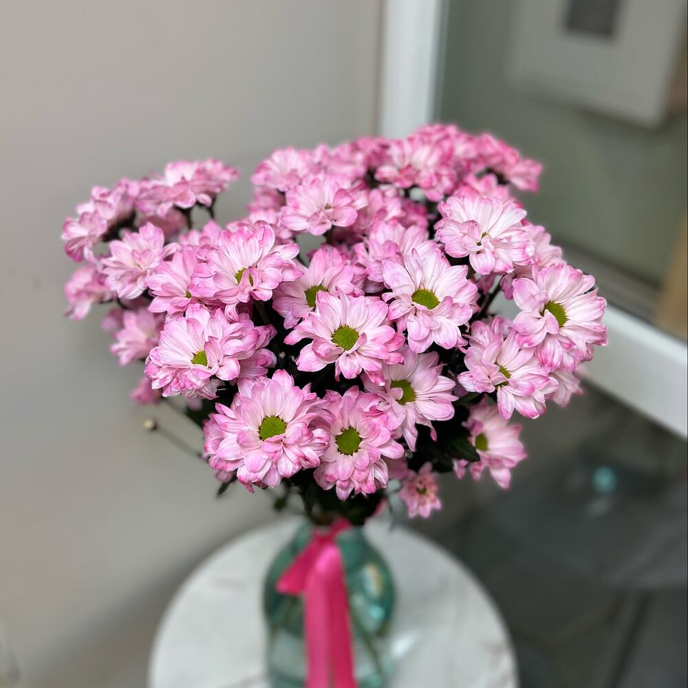 5 розовых ромашковых кустовых хризантем под ленту