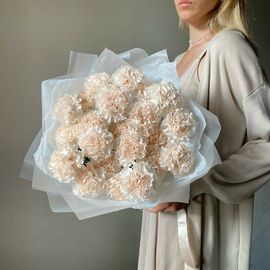 21 диантус брют