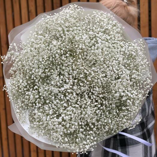 Гипсофила белая