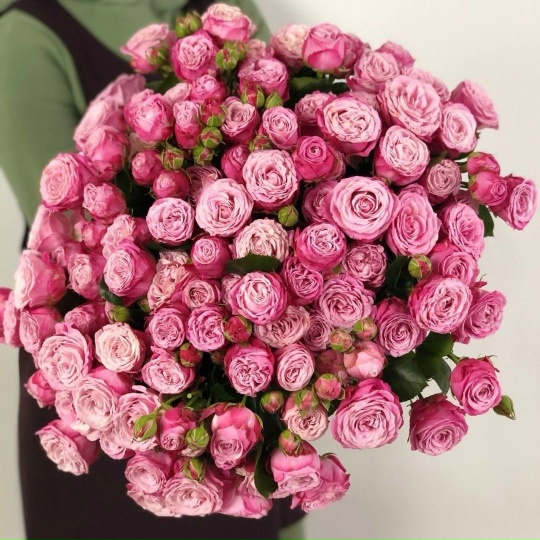 51 пионовидная кустовая Роза (WL)