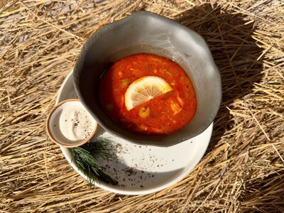 Солянка сборная 