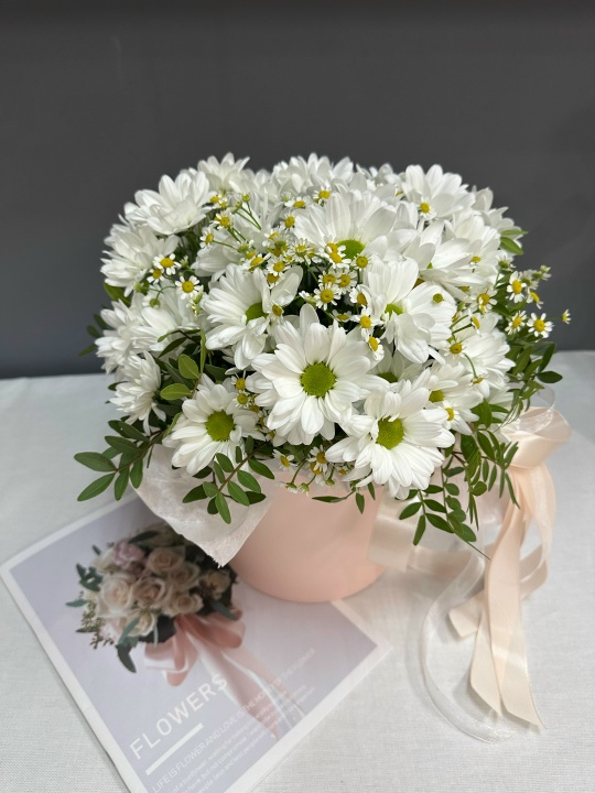 Нежная коробочка с ромашками