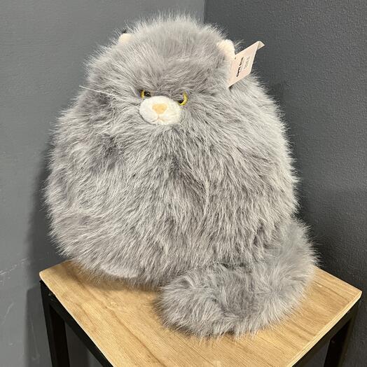 Серый котик