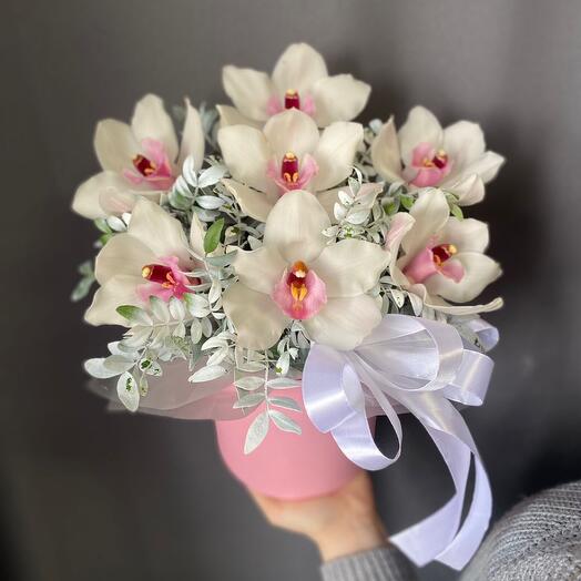 Орхидеи белые в боксе