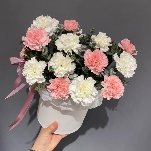 Белые и розовые диантусы в коробке