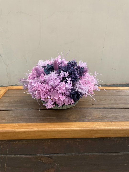 Композиция со стабилизированной гортензией