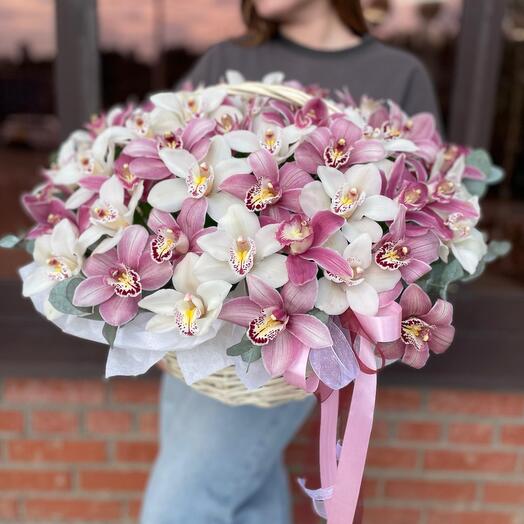 Корзина из 55 орхидей