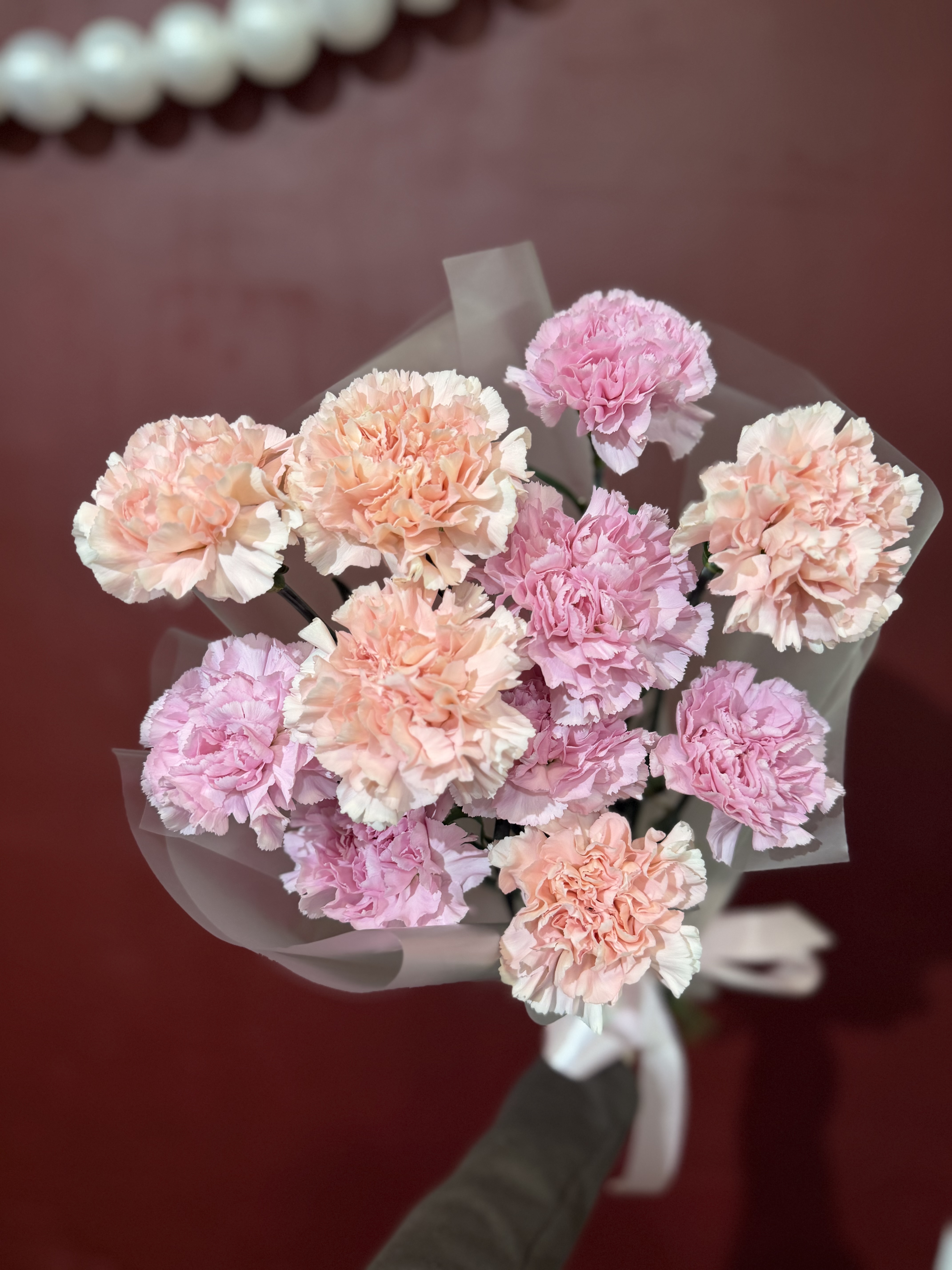 Ажурные диантусы 