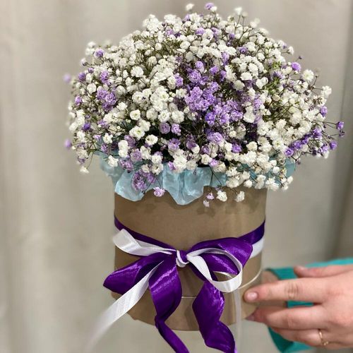 Букет из гипсофилы в коробке (к1799)