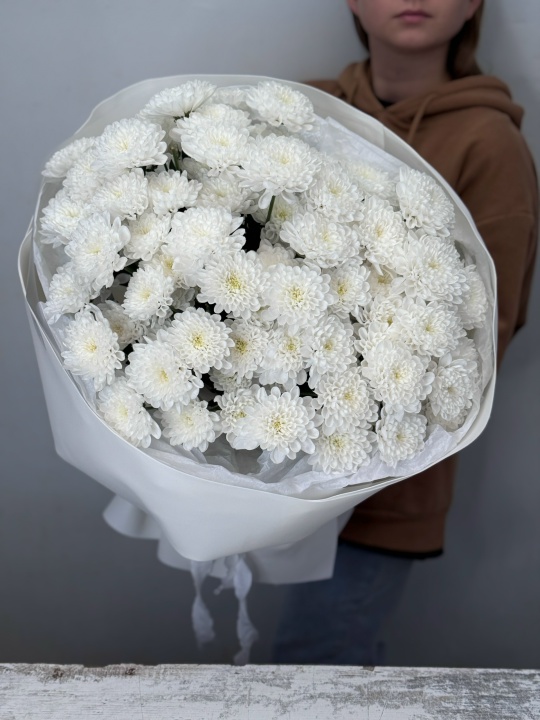 13 пушистых хризантем сорта Алтай