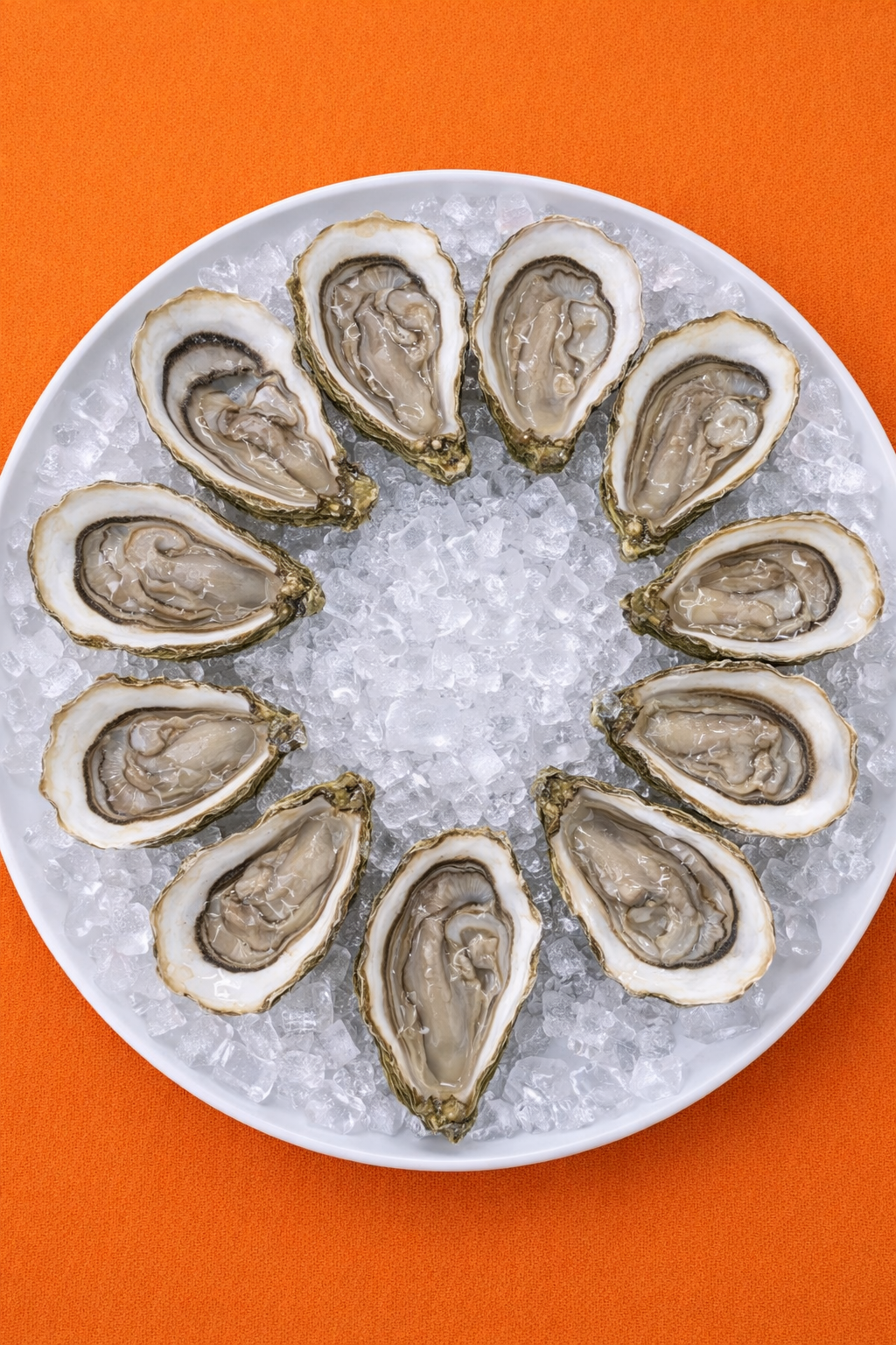 Сет Дюжина устриц