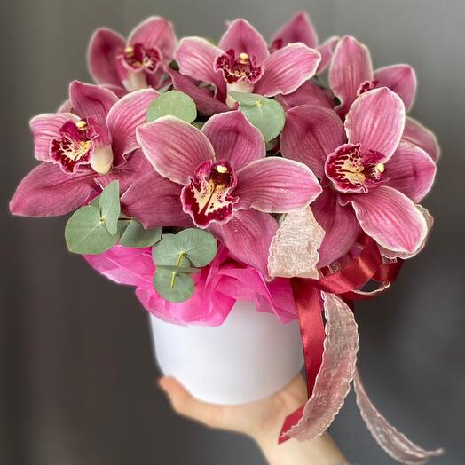 Орхидеи с эвкалиптом в боксе