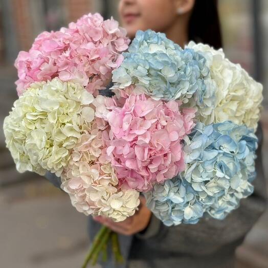 Моно из 7 пушистых разноцветных гортензий под ленту