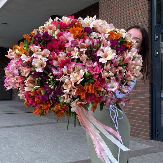 101 альстромерия букет гигант