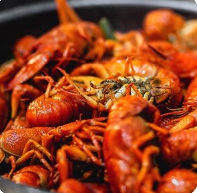 Раки спайси Xl