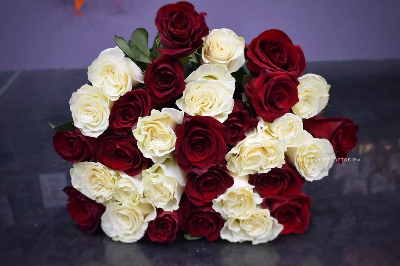 Букет 21 белая и красная роза на ленте - 50 см