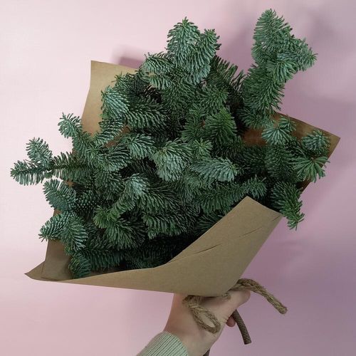 Новогодний букет из нобилиса