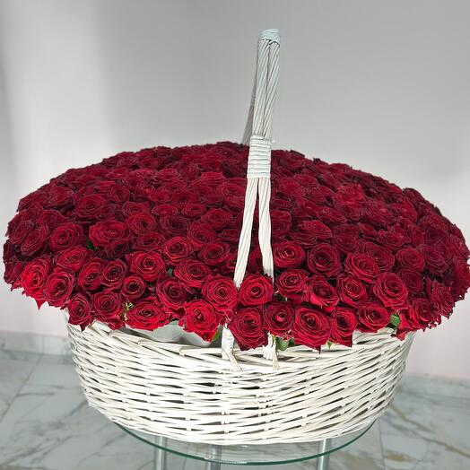 351 Роза в корзине гигант