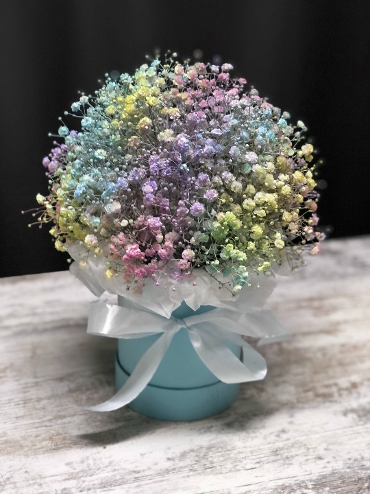 Радужная гипсофила в коробке