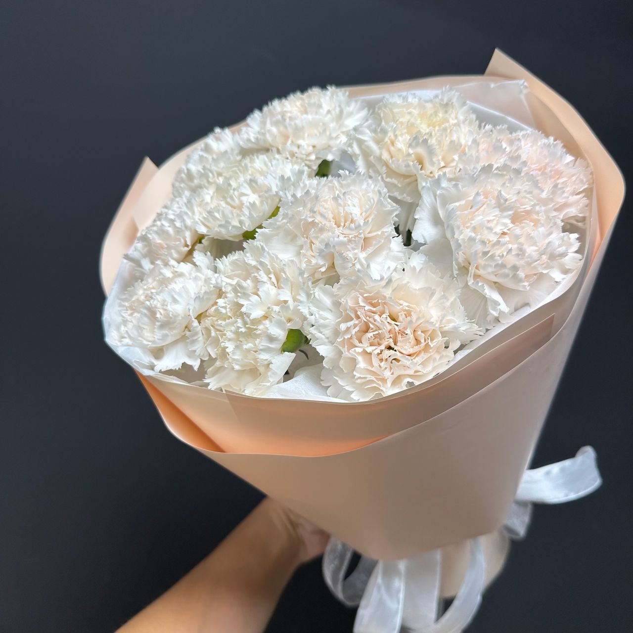 11 кремовых диантусов