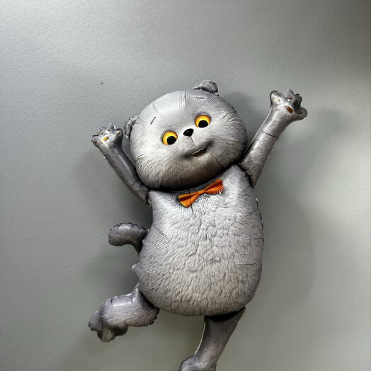 Шар кот Басик