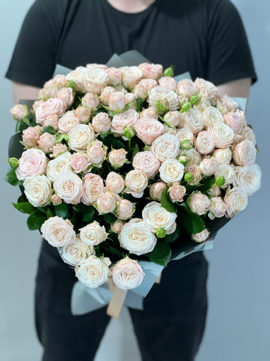 51 Кустовая Роза