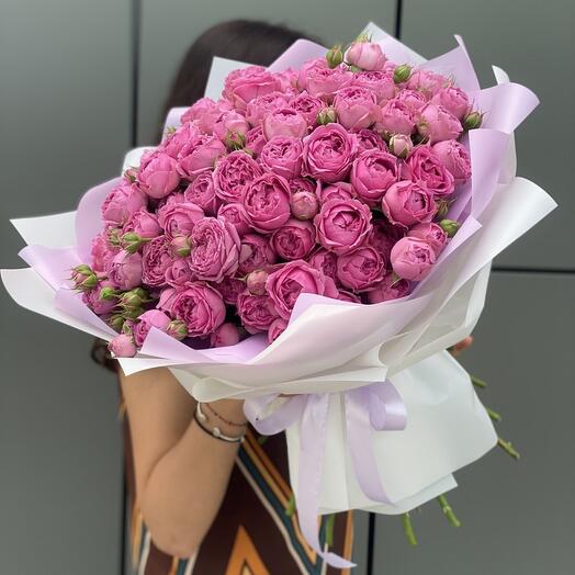 Кустовая пионовидная роза малиновая