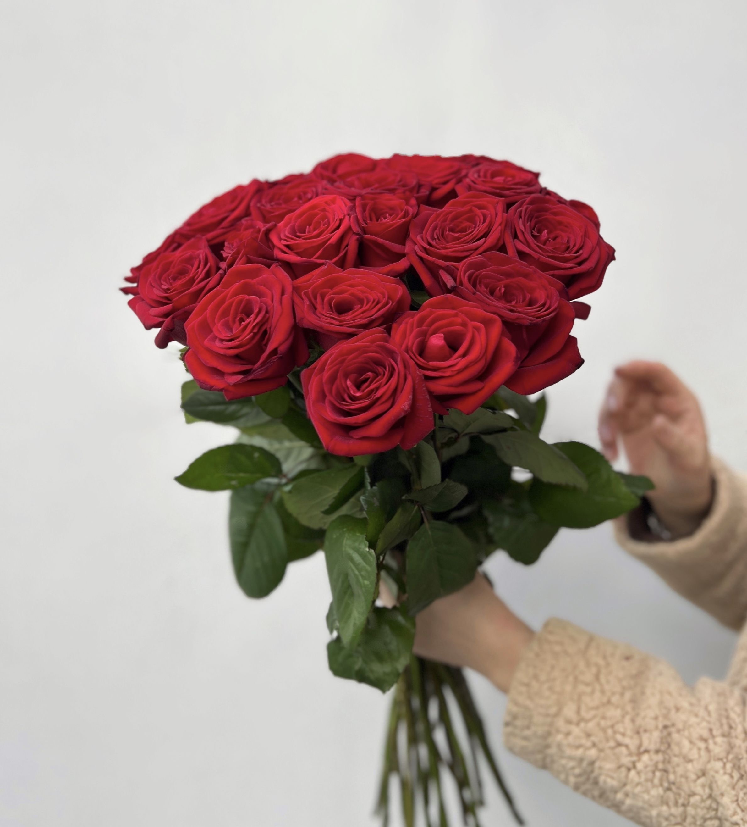 Букет из 25 красных роз 50 см