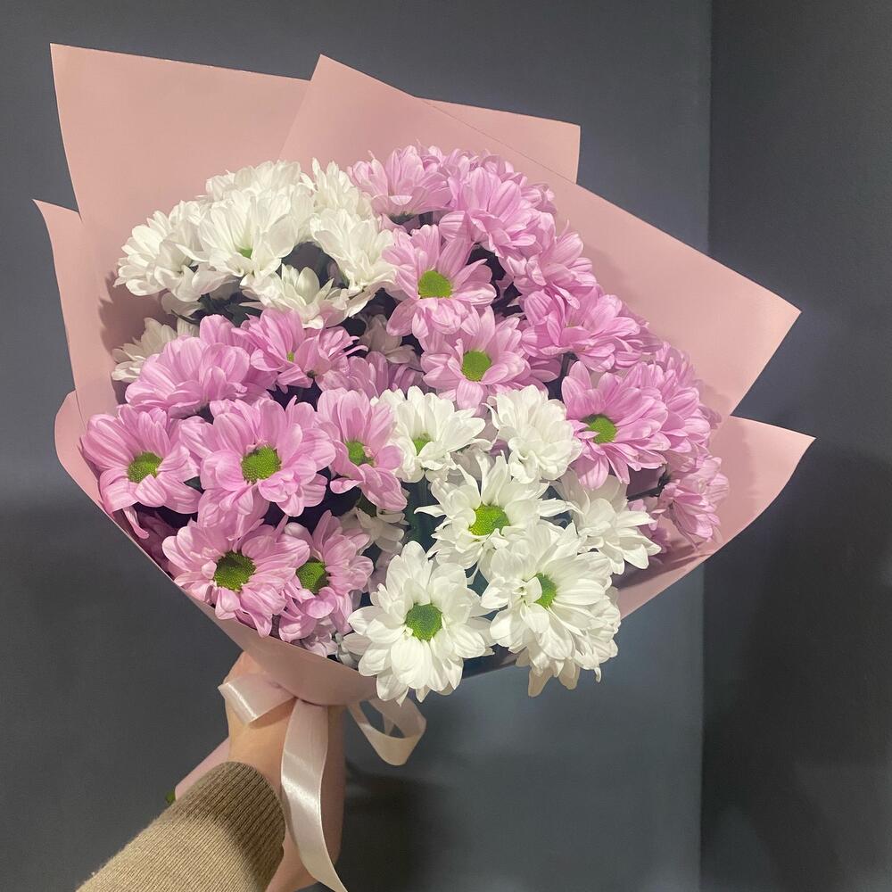 Хризантемы