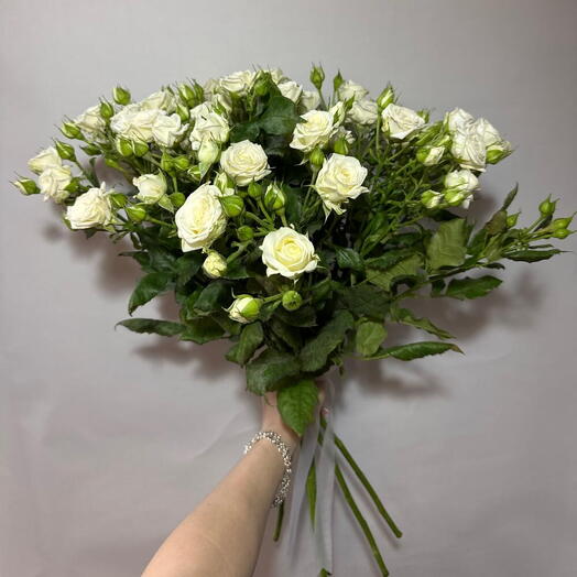 Кустовая роза - Белая